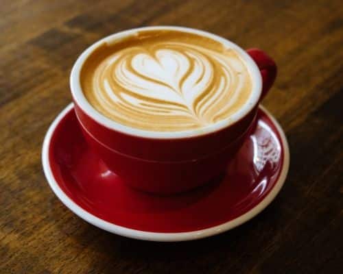 serveerster sectie Briljant Beste cappuccino kopjes 2023: Koopgids & Advies - Coffeeboon